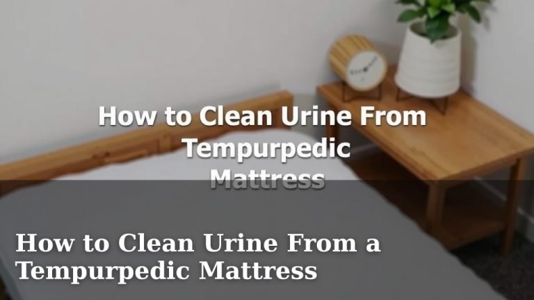 How to Clean Urine From a Tempurpedic Mattress