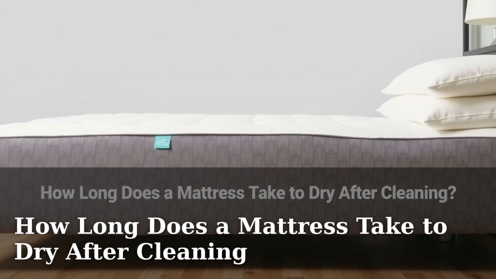How Long Does a Mattress Take to Dry After Cleaning