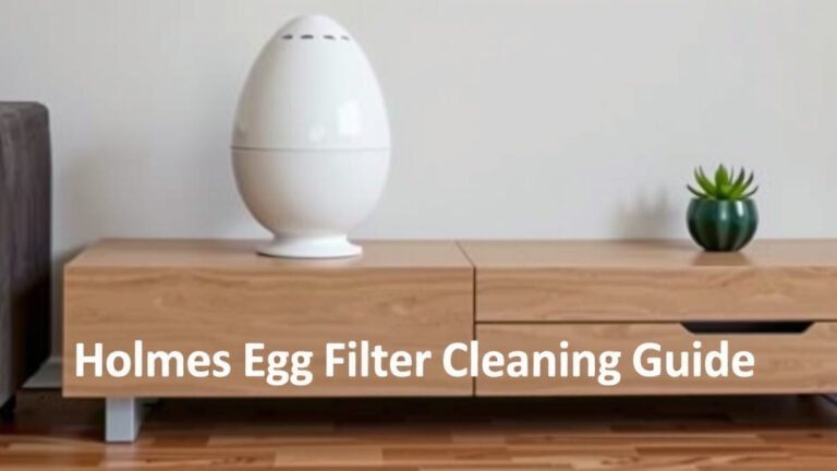 Holmes Egg Air Purifier Filter Cleaning Guide
