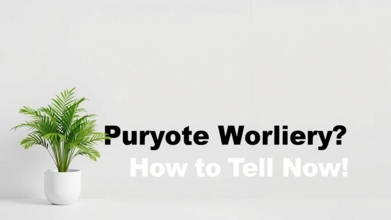Is Your Air Purifier Working? How to Tell Now