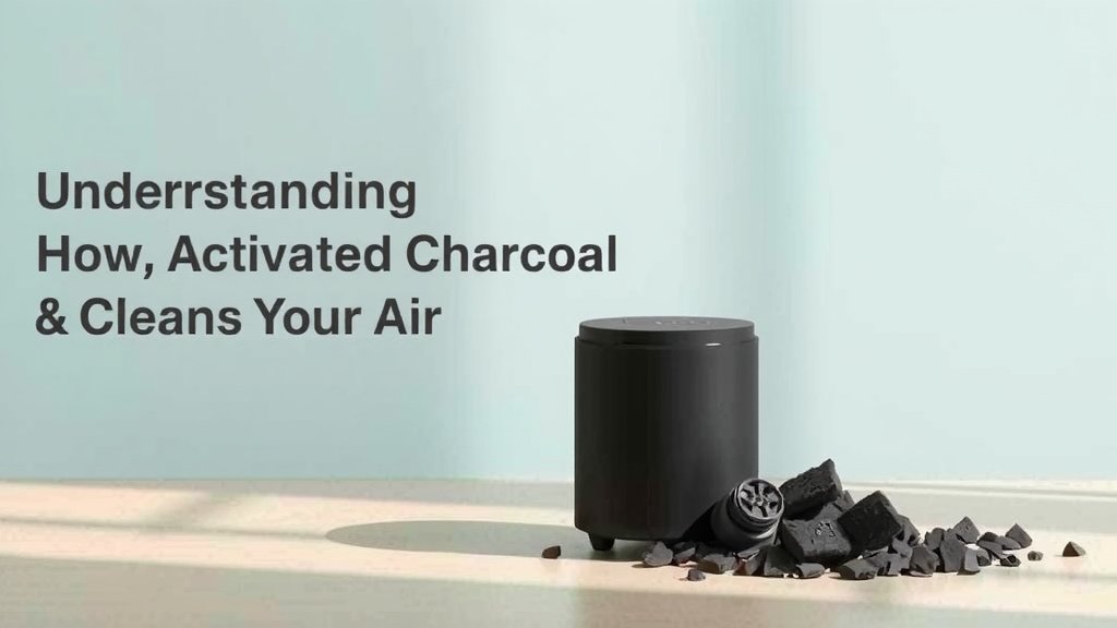 Understanding How Activated Charcoal Cleans Your Air