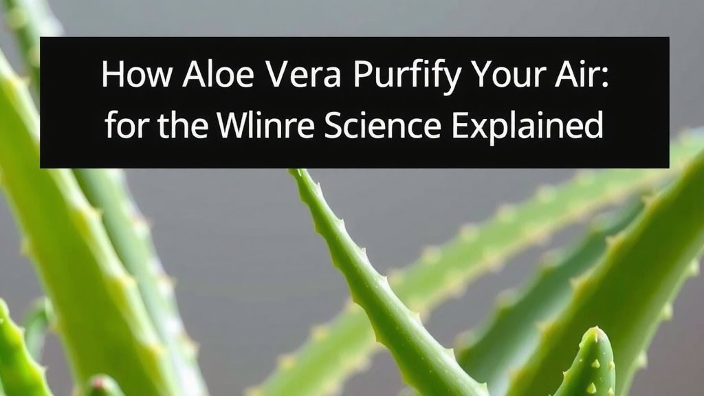 How Aloe Vera Purifies Your Air: The Science Explained