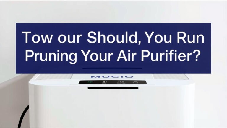 How Long Should You Run Your Air Purifier