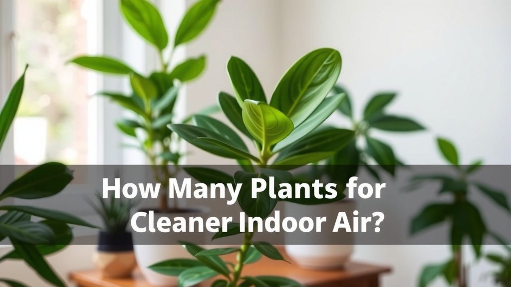 How Many Plants for Cleaner Indoor Air?