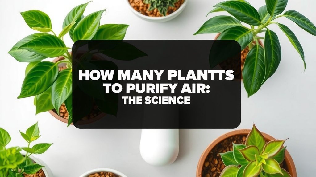 How Many Plants To Purify Air: The Science