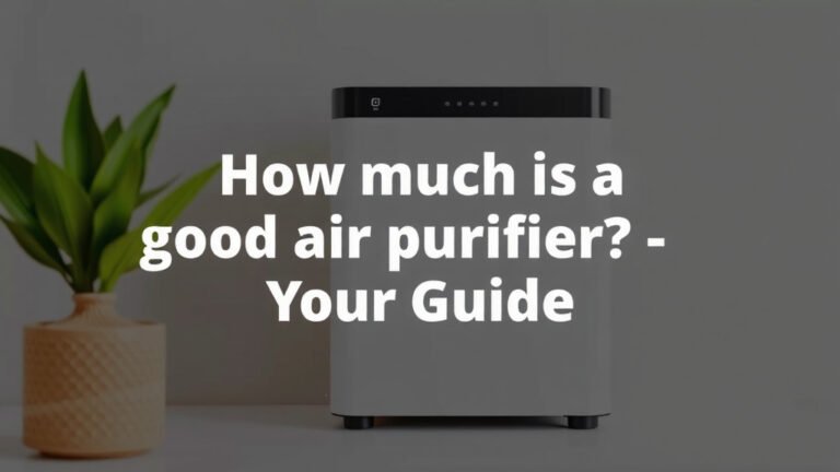How Much is a Good Air Purifier? Your Guide