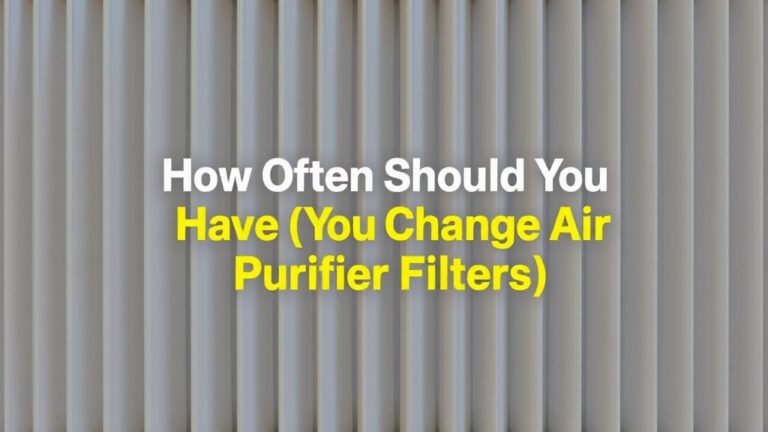 How Often Should You Change Air Purifier Filters