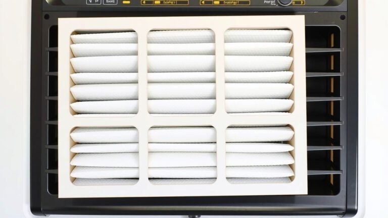 How to Wash Air Purifier Filters Properly